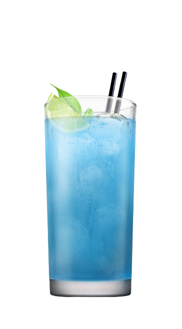 Blueberry on the beach